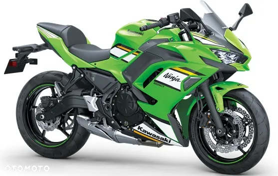 Kawasaki Ninja - 3