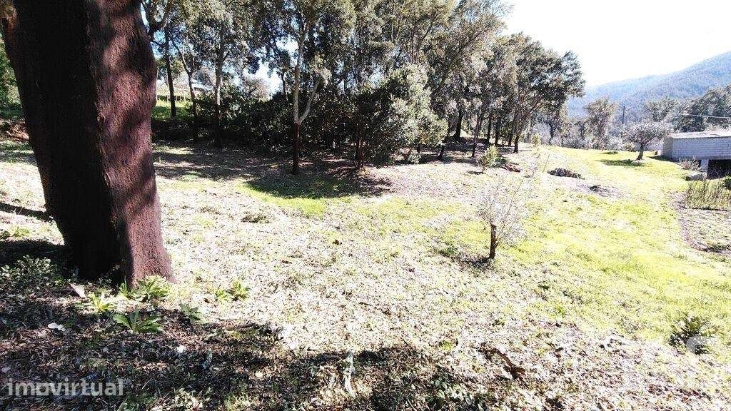 Terreno em Pedrógão Pequeno - Grande imagem: 4/30