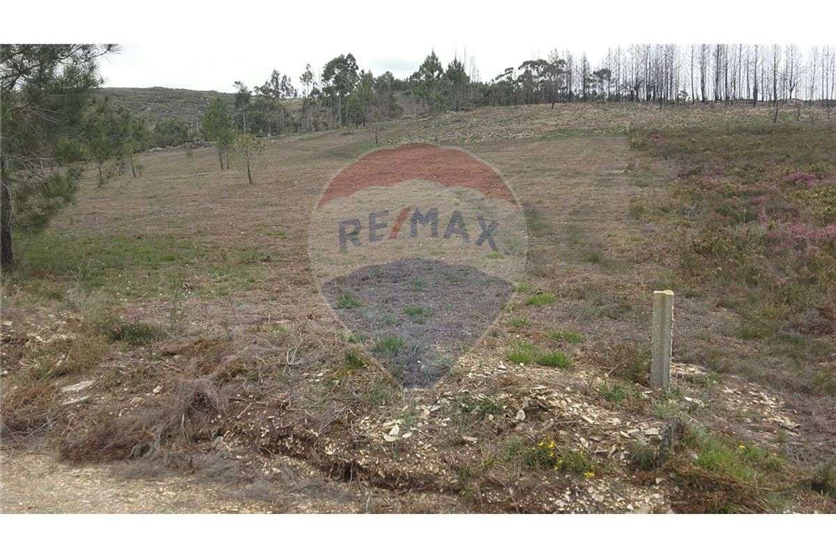 Terreno  para venda - Grande imagem: 3/6