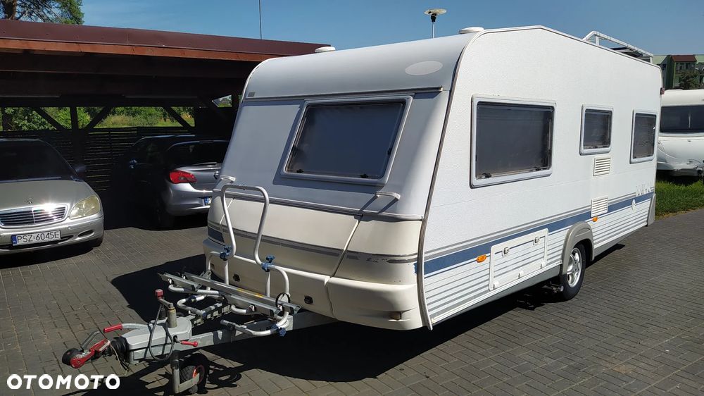 Wilk sport - 1
