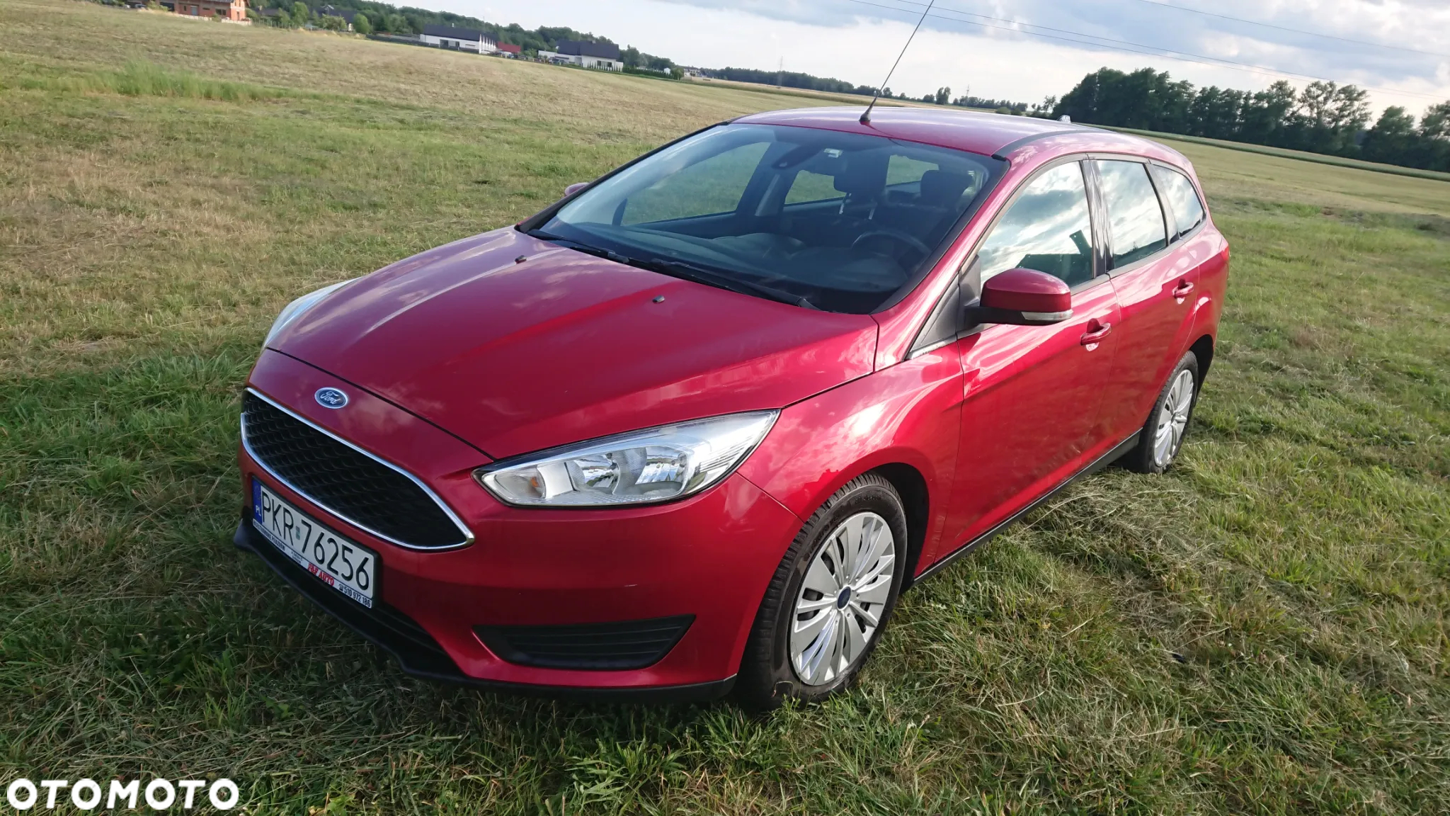 Ford Focus - 17