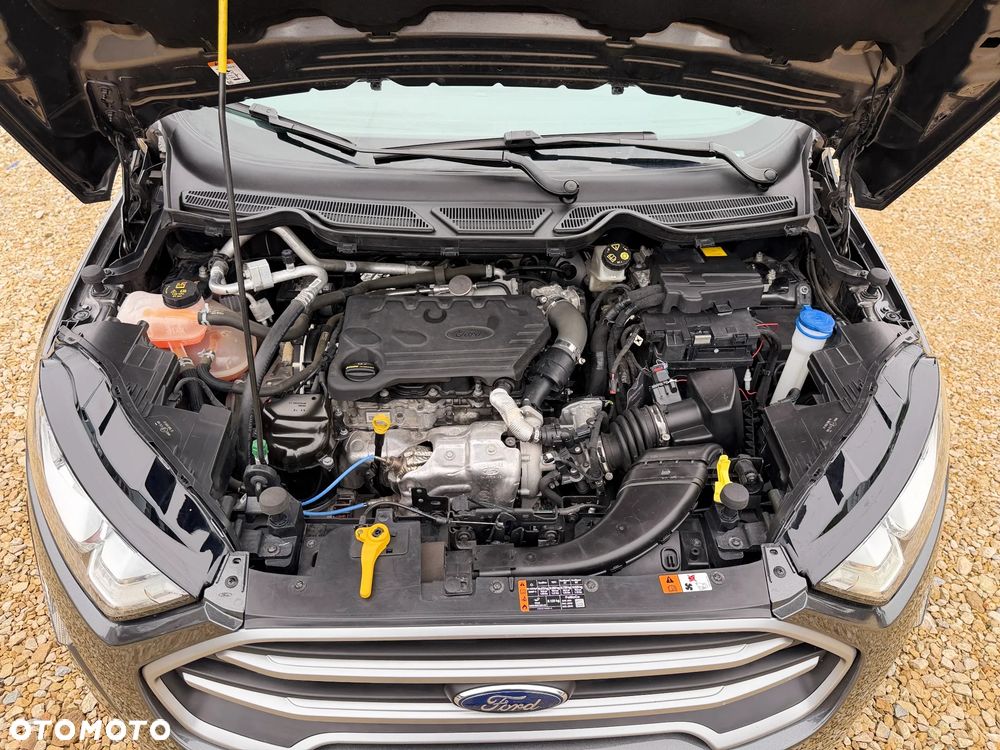 Ford EcoSport 1.5 EcoBlue AWD Titanium ASS - 21