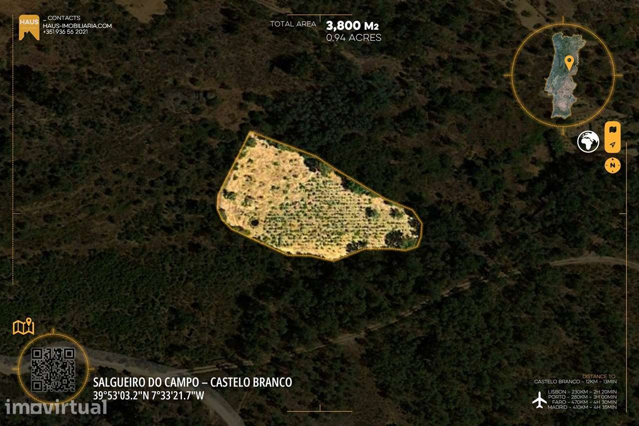 Terreno com Vinha e Poço em Granito | Salgueiro do Campo - Grande imagem: 3/20
