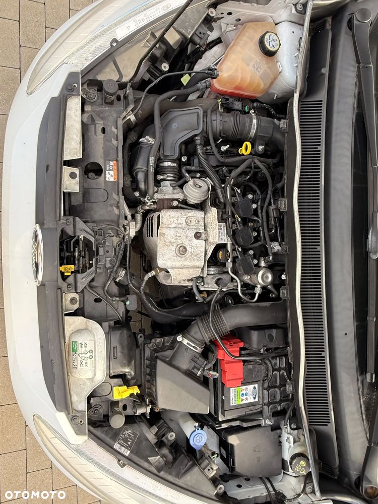 Ford B-MAX 1.0 EcoBoost Colourline - 20