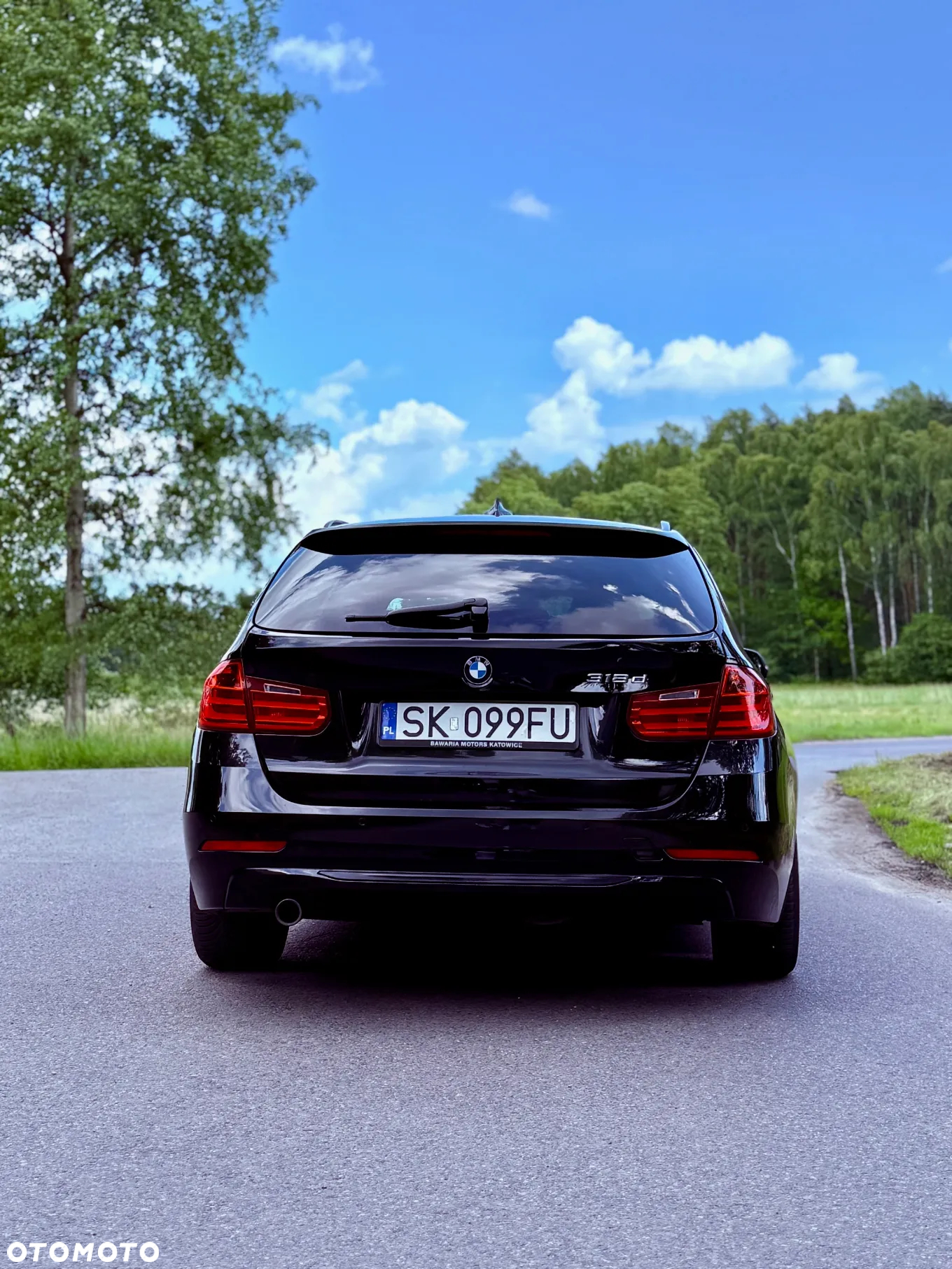 BMW Seria 3 318d Blue Performance Luxury Line - 9