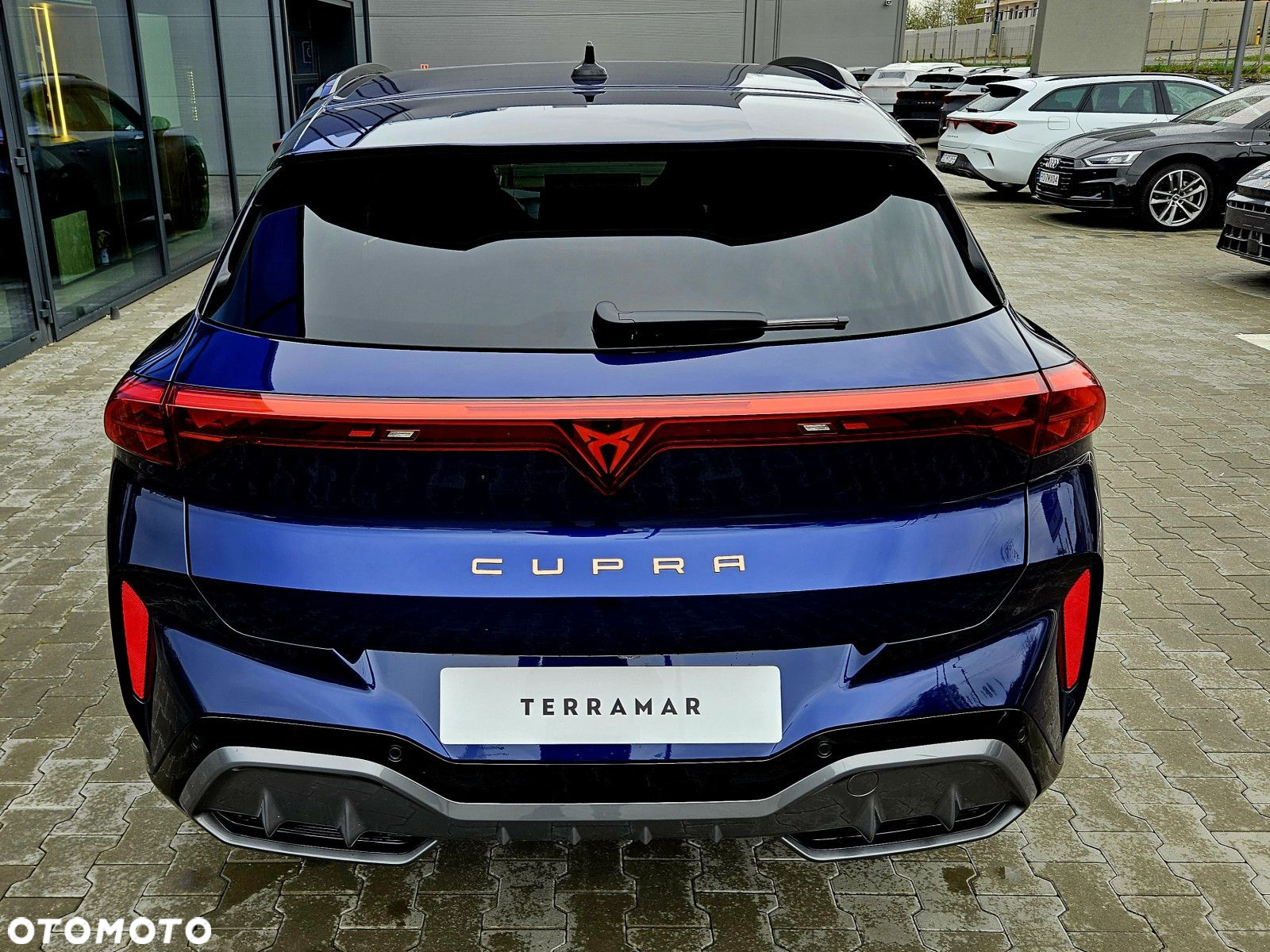 Cupra Terramar - 4