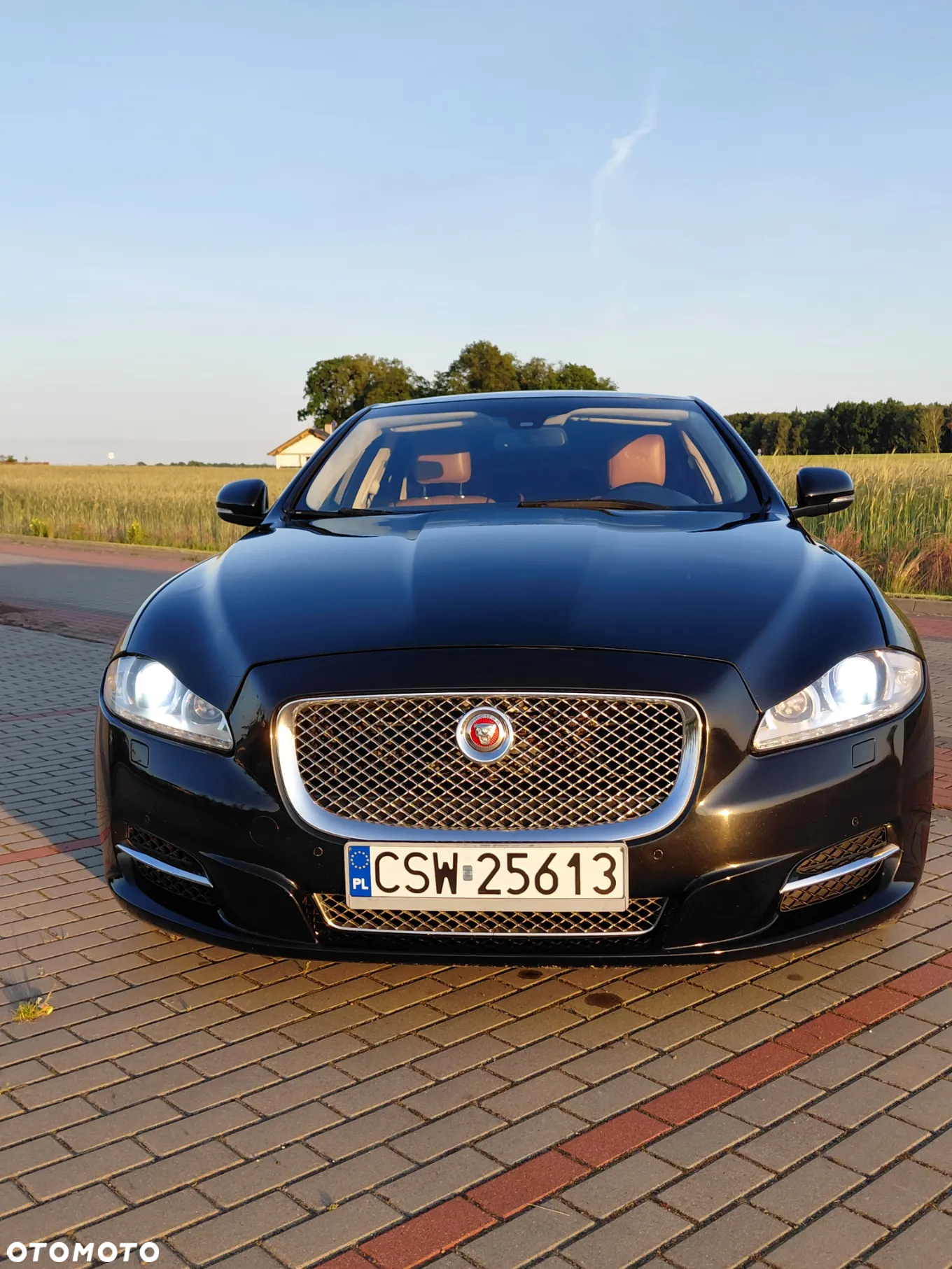 Jaguar XJ 3.0 V6 Kompressor Portfolio - 2