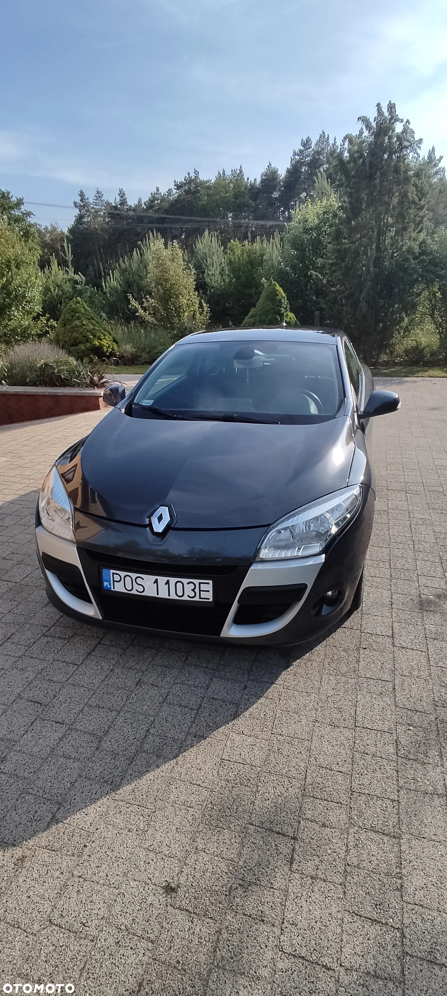 Renault Megane - 16