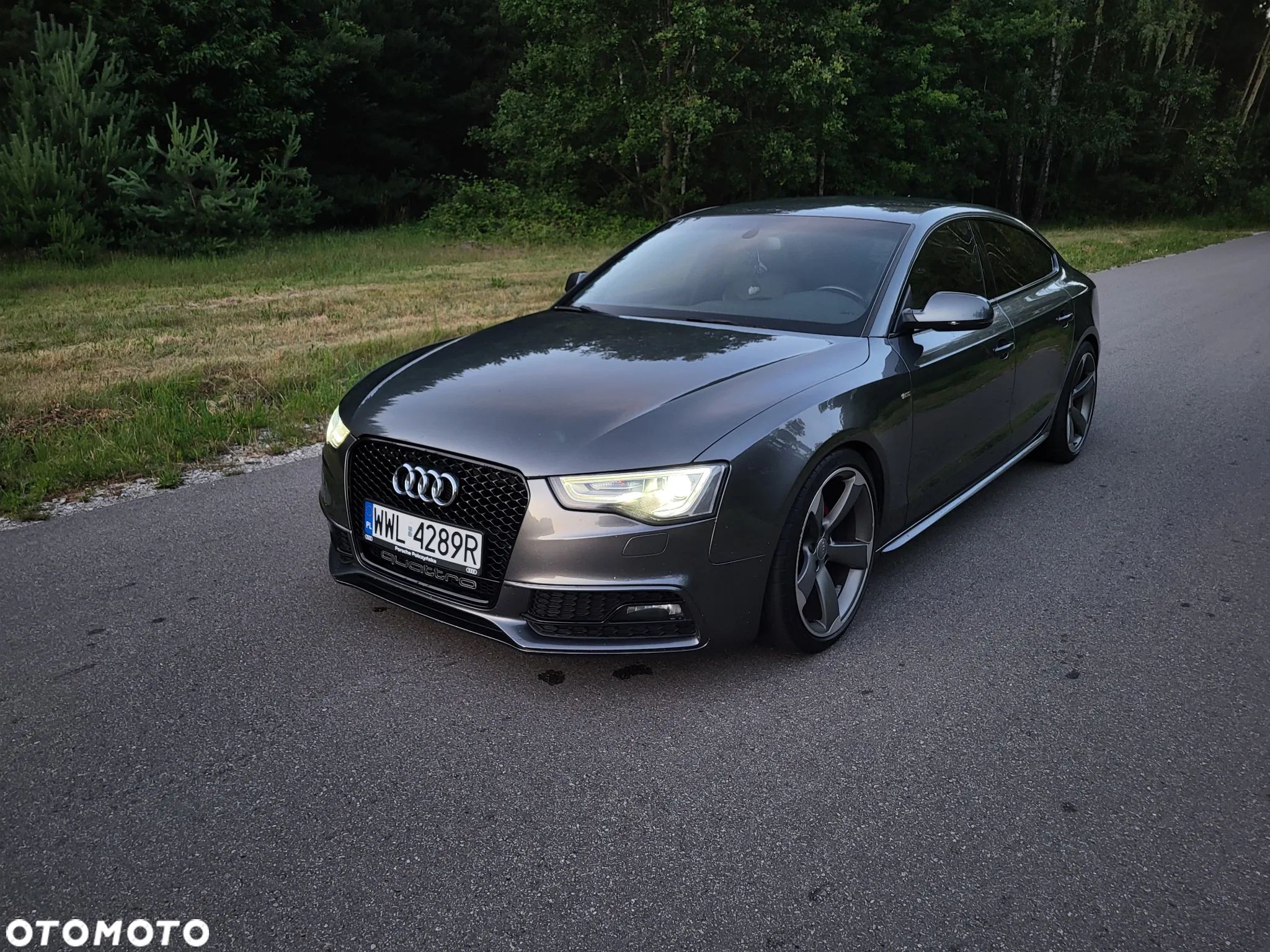 Audi A5 2.0 TDI clean diesel Quattro S tronic - 1