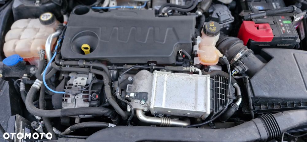 Ford Focus 2.0 EcoBlue ST-Line X - 14