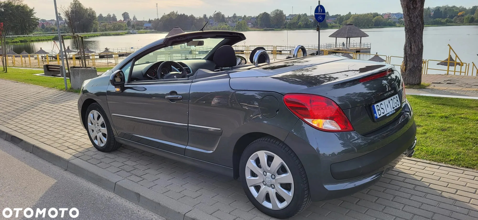 Peugeot 207 - 6
