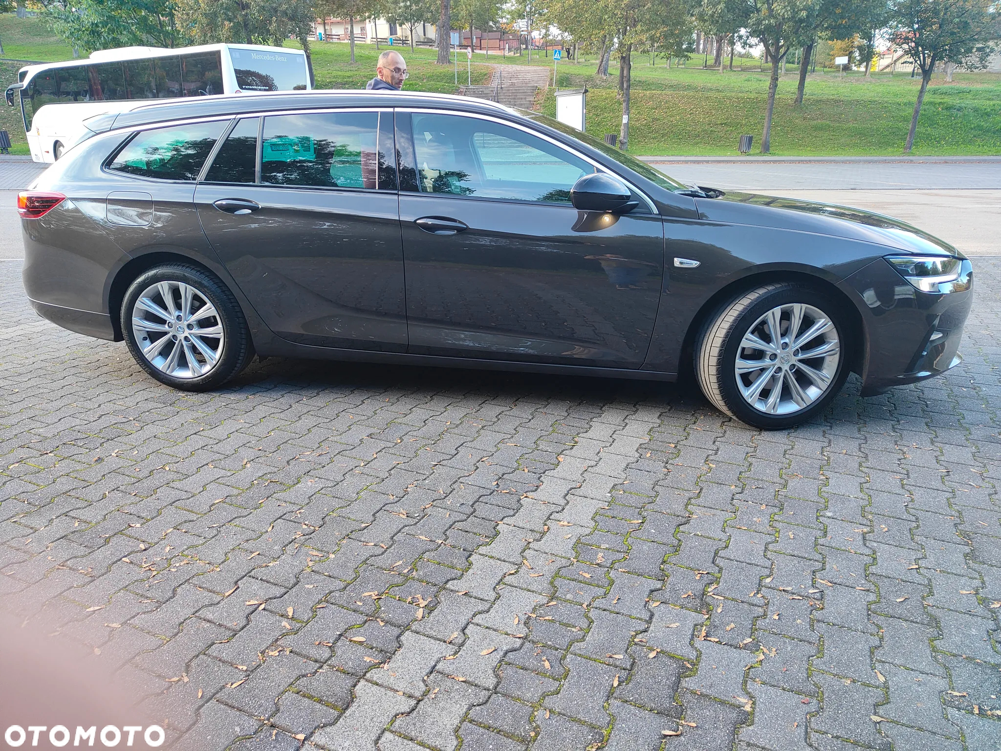 Opel Insignia 2.0 CDTI Business Edition S&S - 10