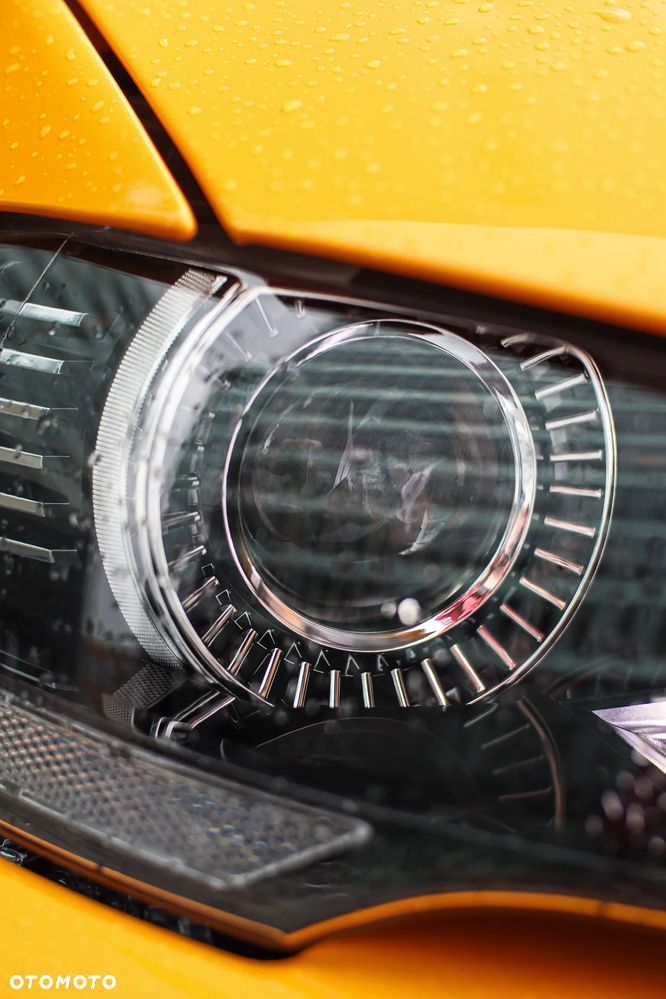 Ford Mustang 5.0 V8 Mach 1 - 7