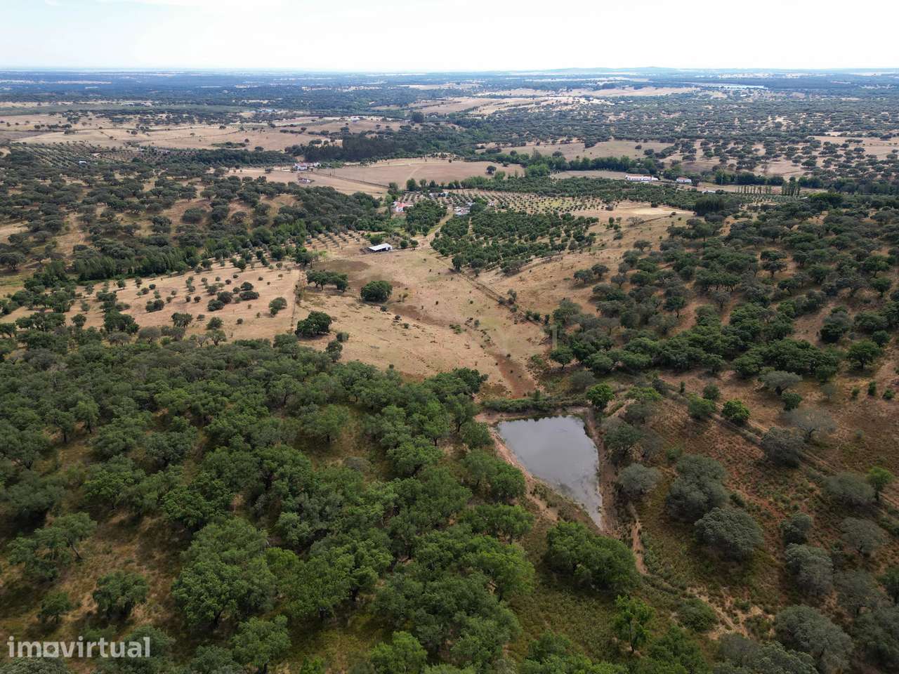 Quinta Charmosa em Montemor o Novo - Oportunidade Única - Grande imagem: 3/16