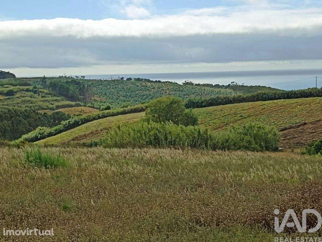 Terreno para construção em Lourinhã e Atalaia de 2358,00 m2 - Grande imagem: 4/6