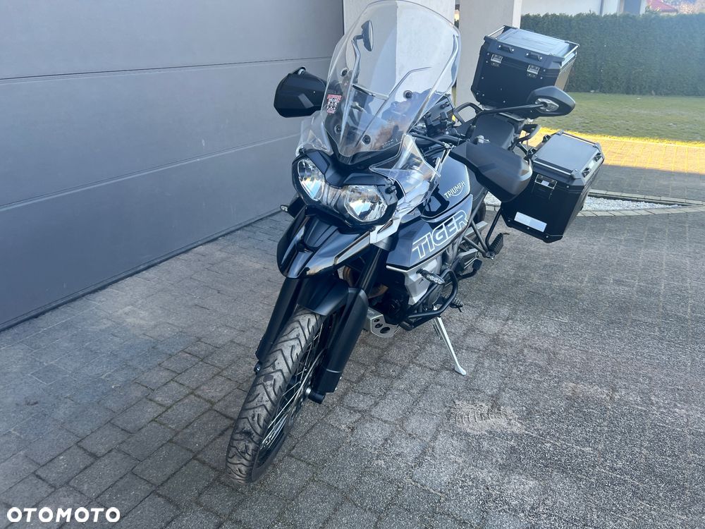 Triumph Tiger - 3
