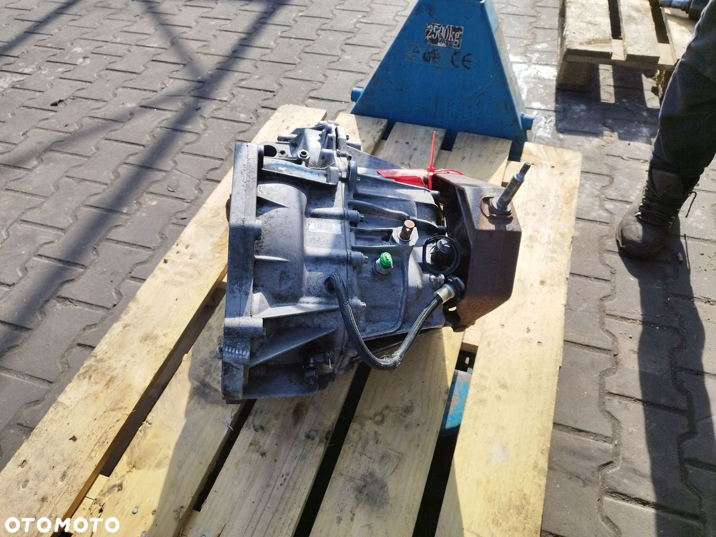 SKRZYNIA BIEGÓW MASTER MOVANO INTERSTAR 2.5 DCI 07-10R PF6014 - 2