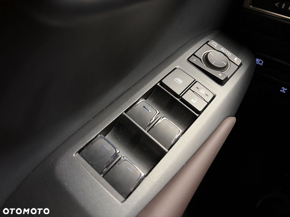 Lexus NX 300 Prestige AWD - 18