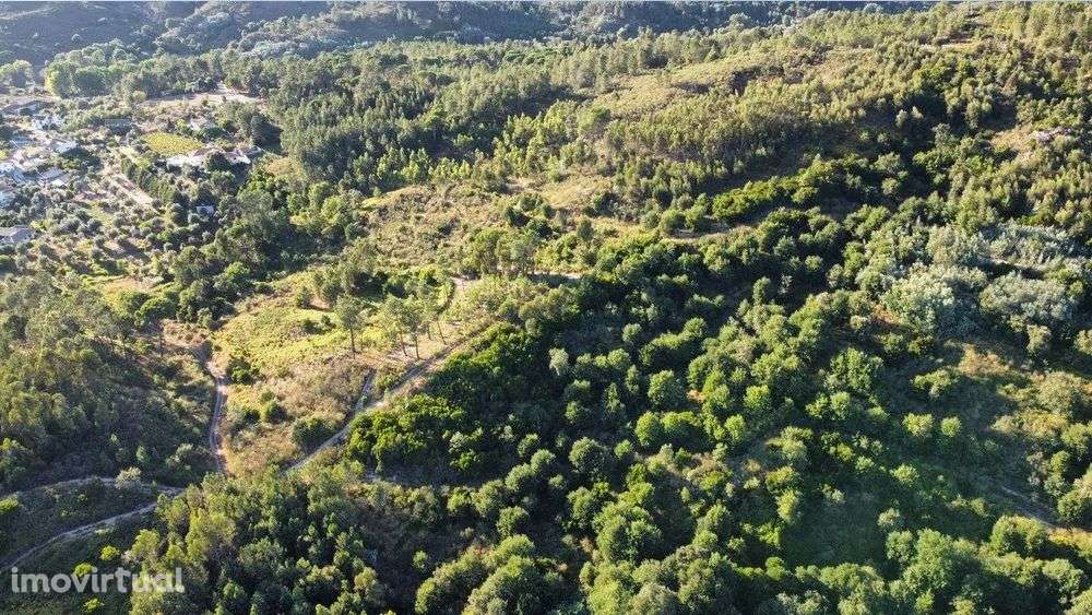 Fantástico terreno com 16ha - Grande imagem: 4/12