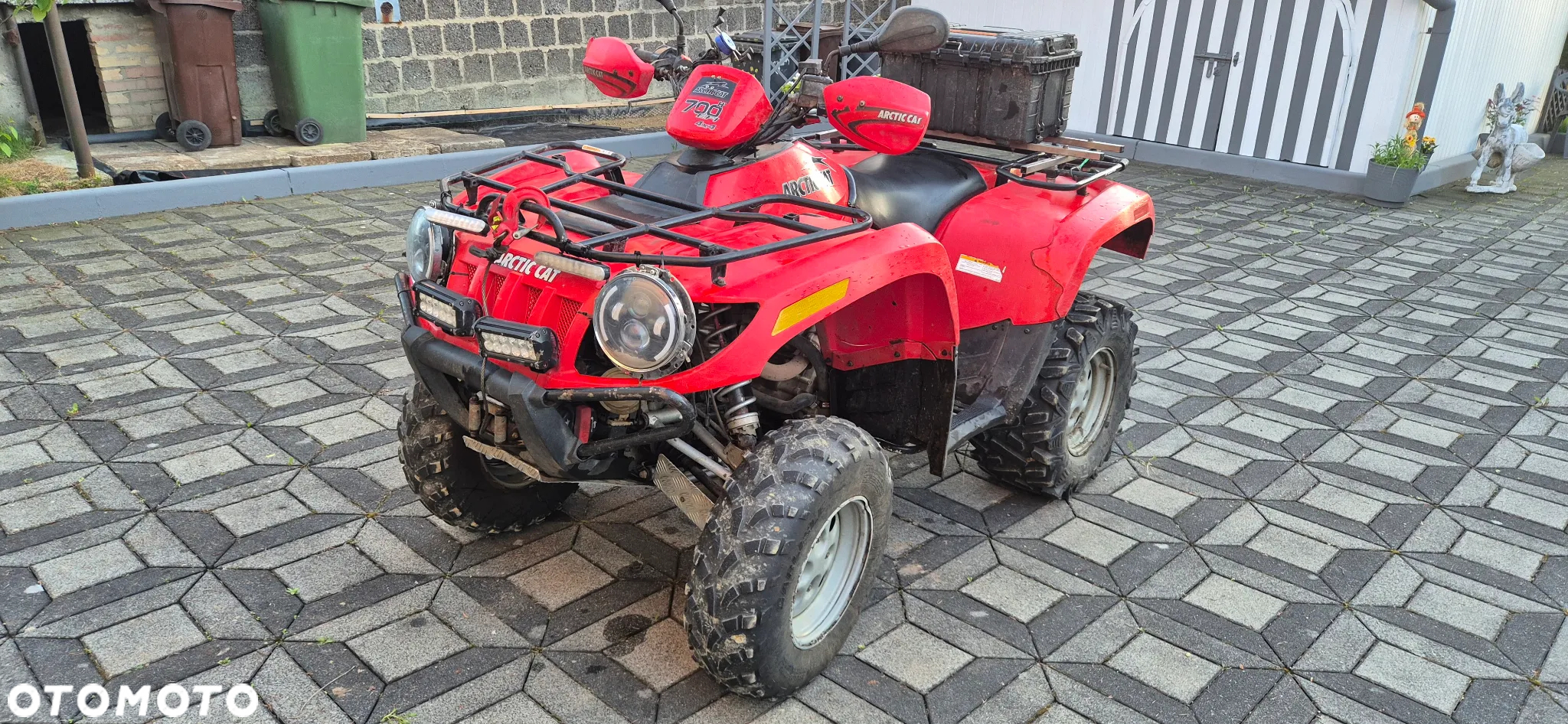 Arctic Cat Inny
