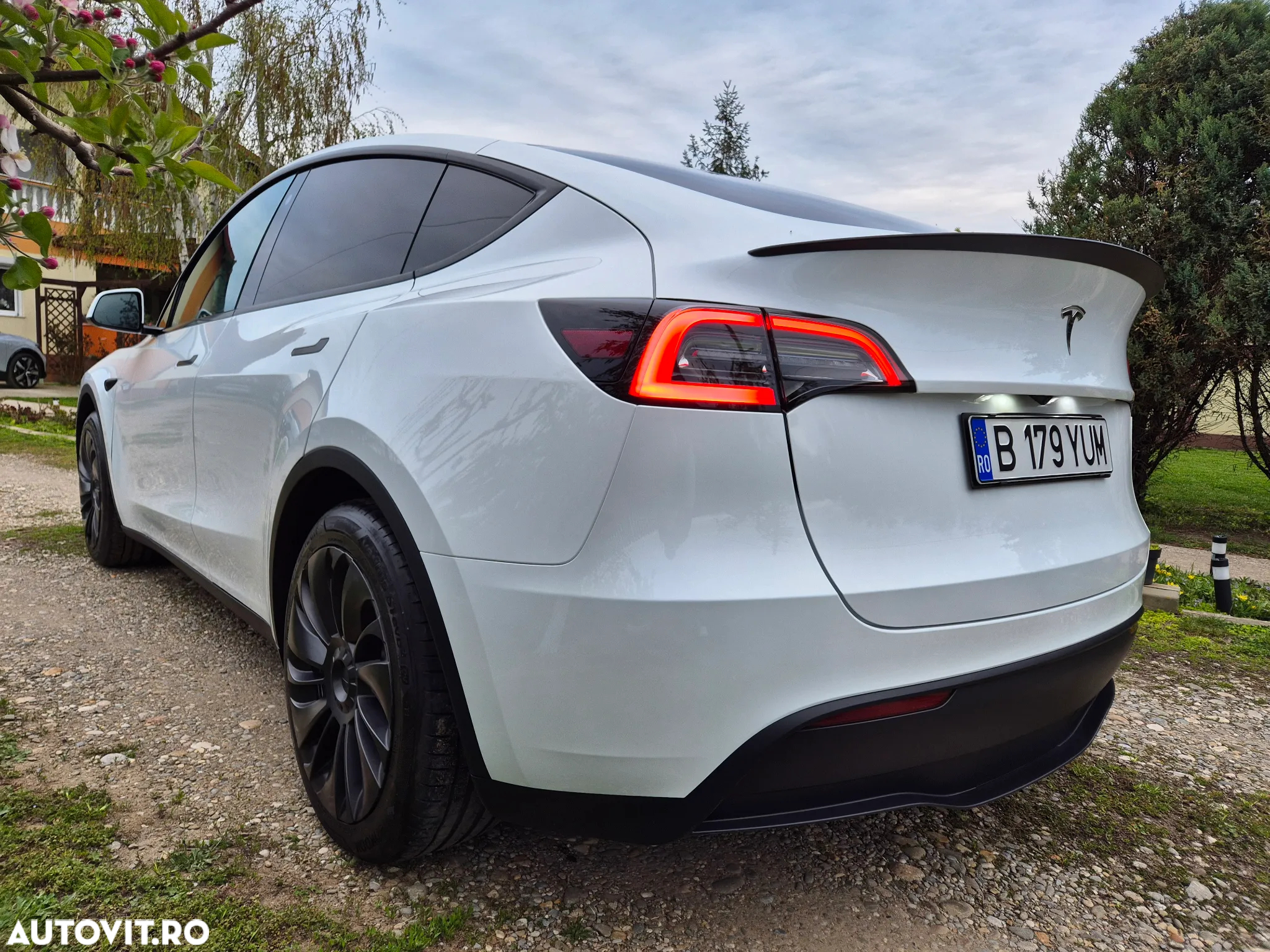 Tesla Model Y - 11