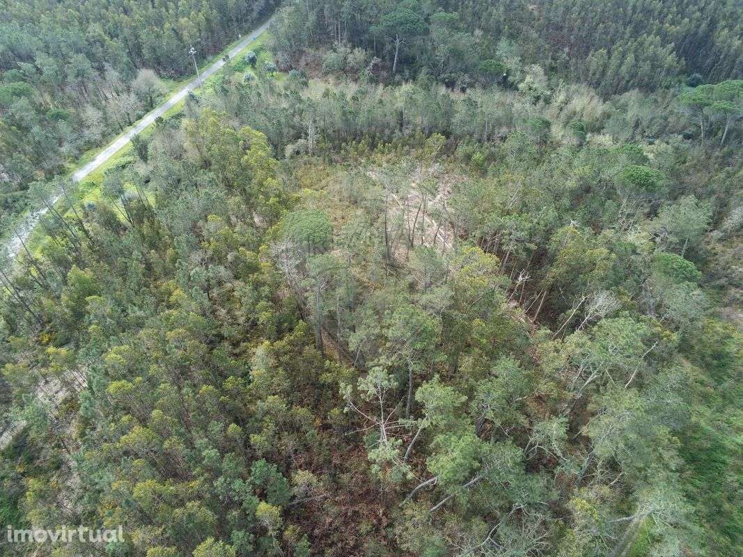 Terreno  para venda - Grande imagem: 3/5