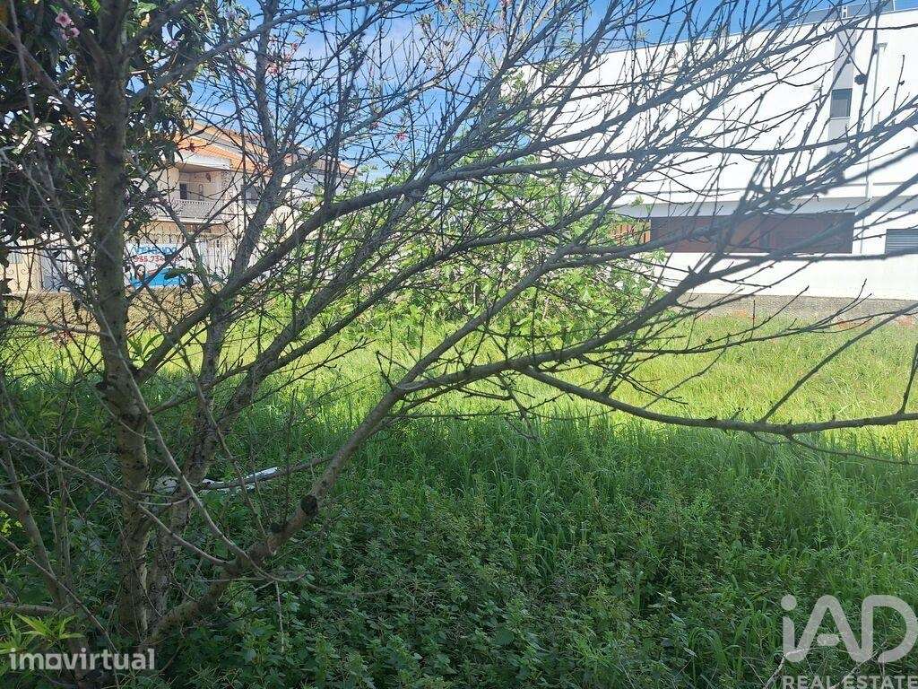 Terreno para construção em Fernão Ferro - Grande imagem: 4/4