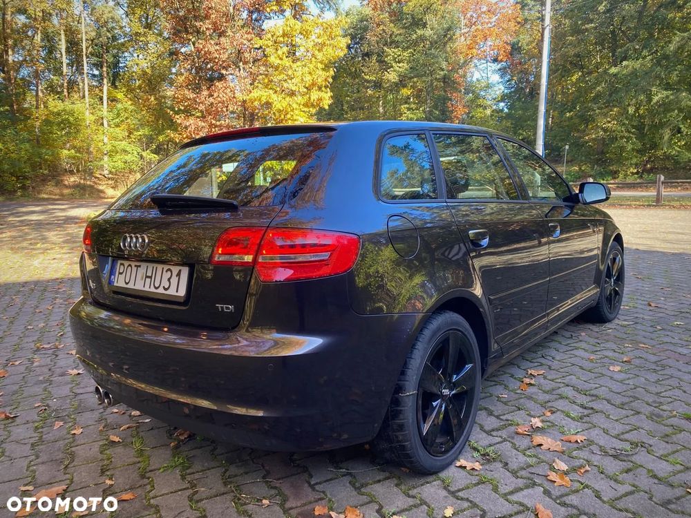 Audi A3 Sportback 1.6 TDI DPF Ambition - 8