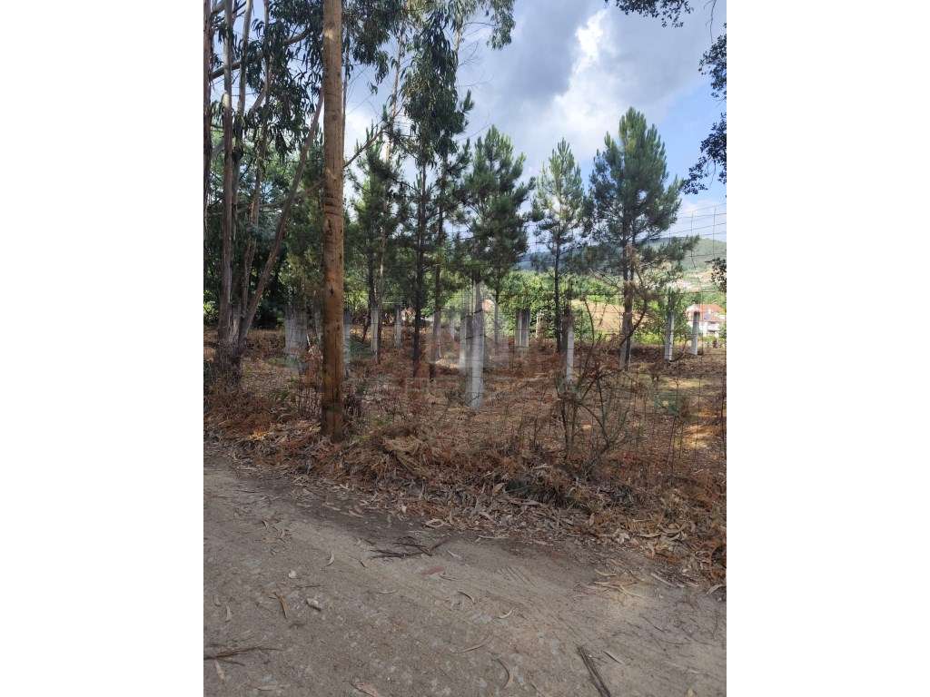 Terreno Urbano para construção Celorico Basto - Grande imagem: 4/12