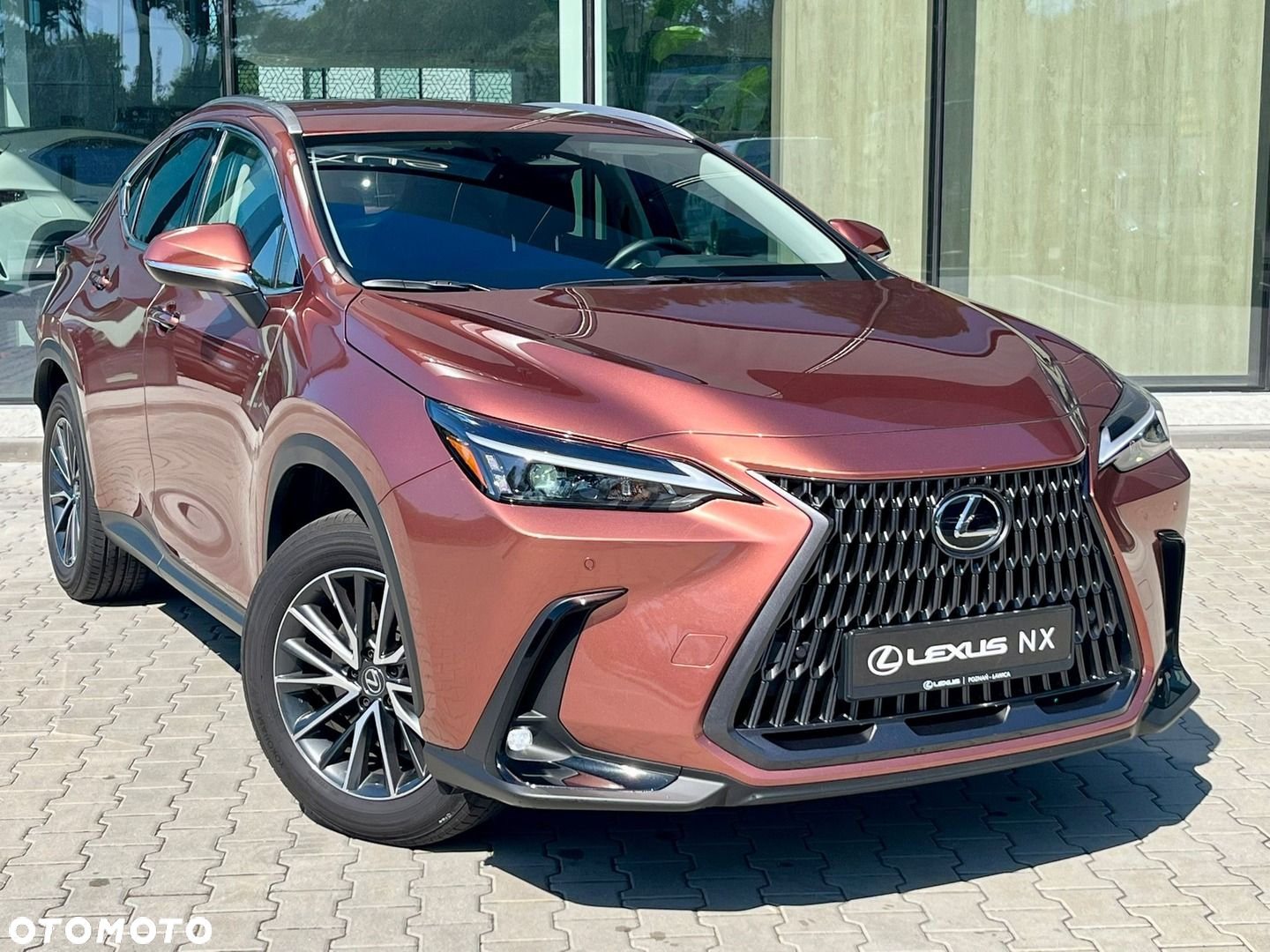 Lexus NX - 9
