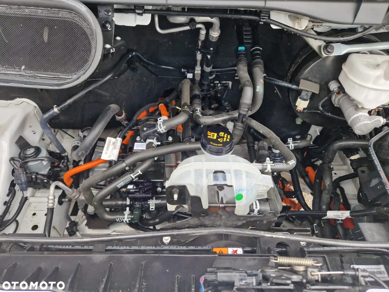 Ford TRANSIT EE - 20