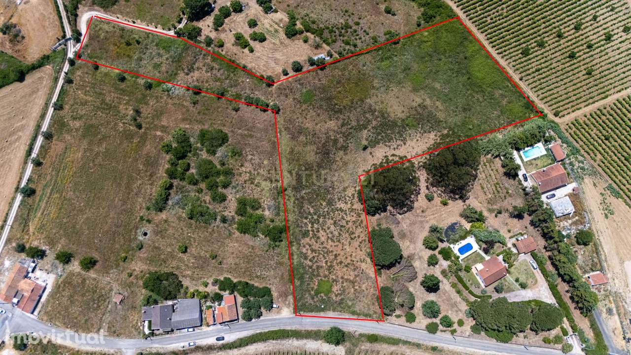 Oportunidade Única de Investimento em Terreno com Potencial Agrícola e - Grande imagem: 5/17