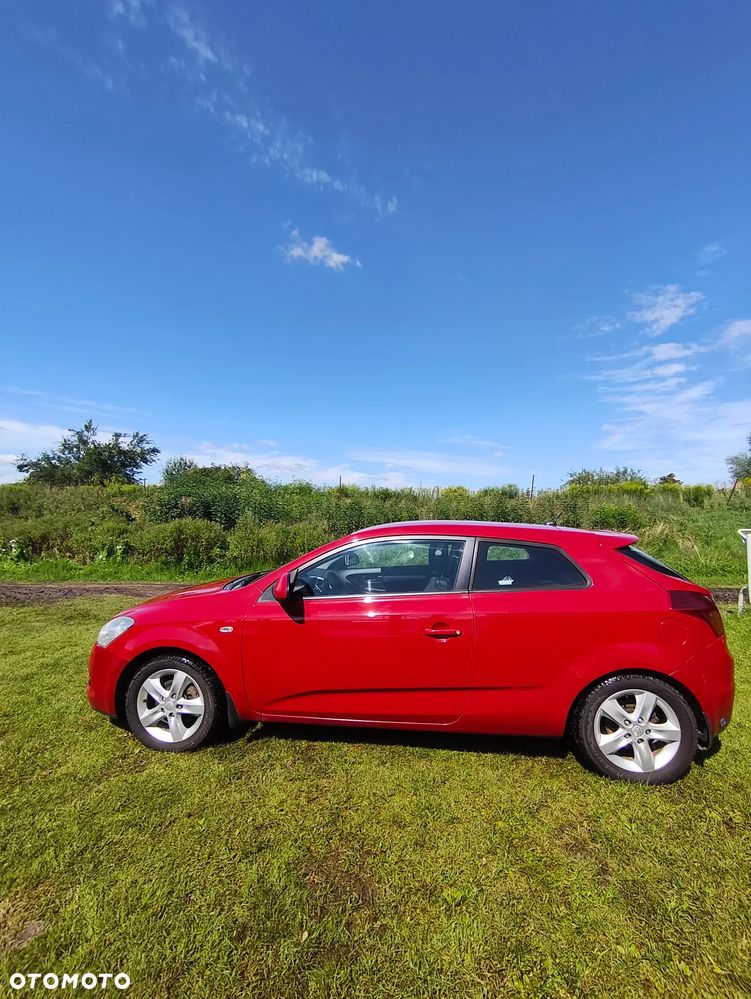 Kia Ceed - 1