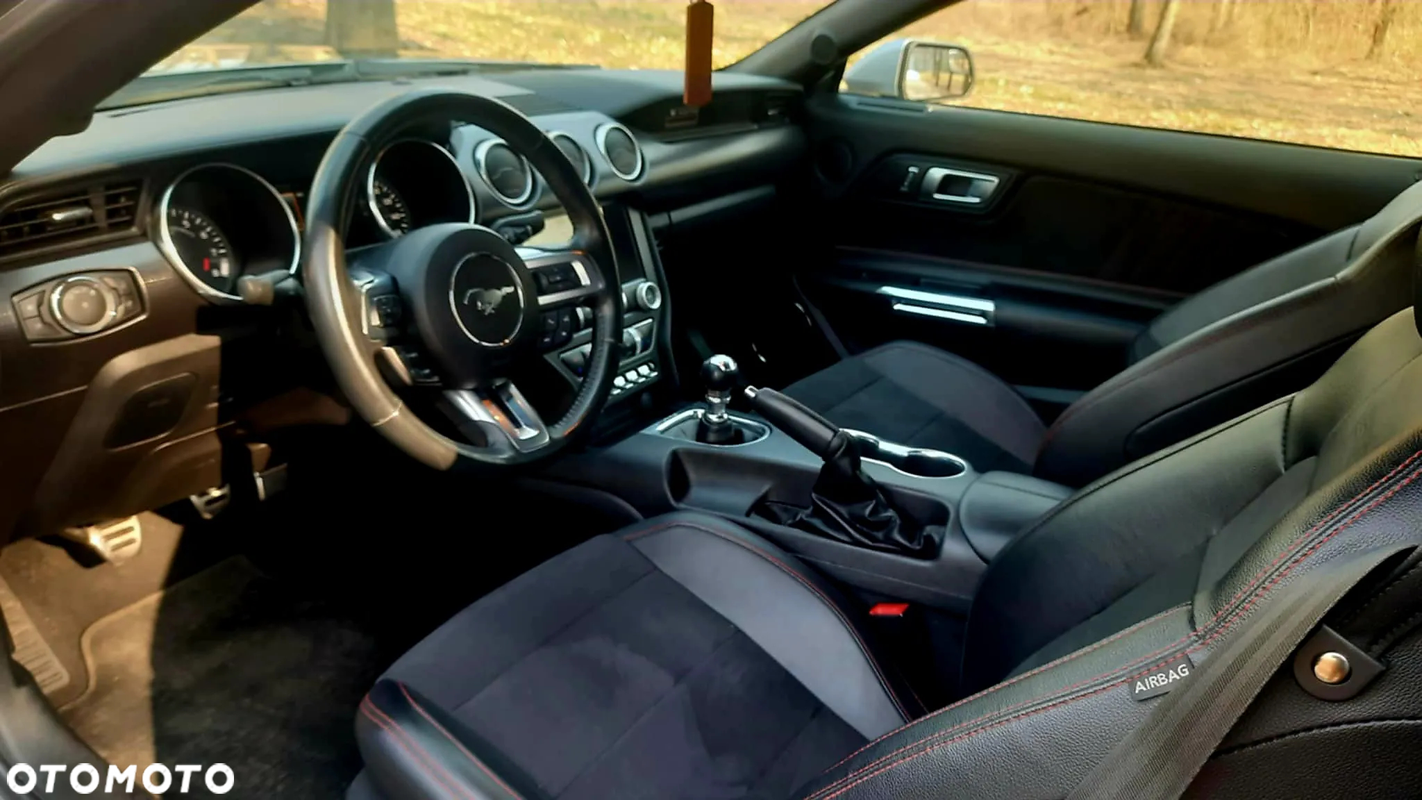 Ford Mustang 5.0 V8 GT - 10