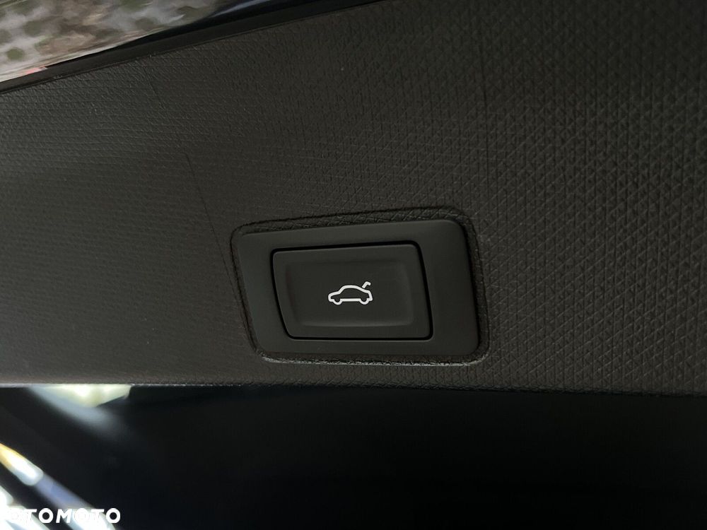 Cupra Terramar - 13