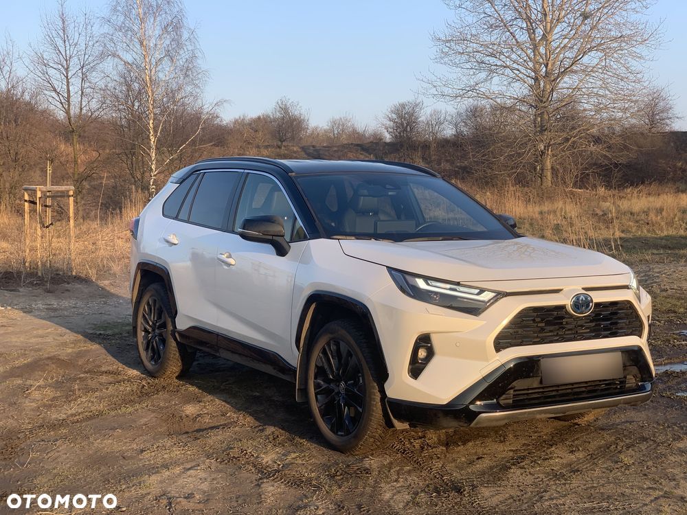 Toyota RAV4 2.5 Hybrid Selection 4x2 - 8