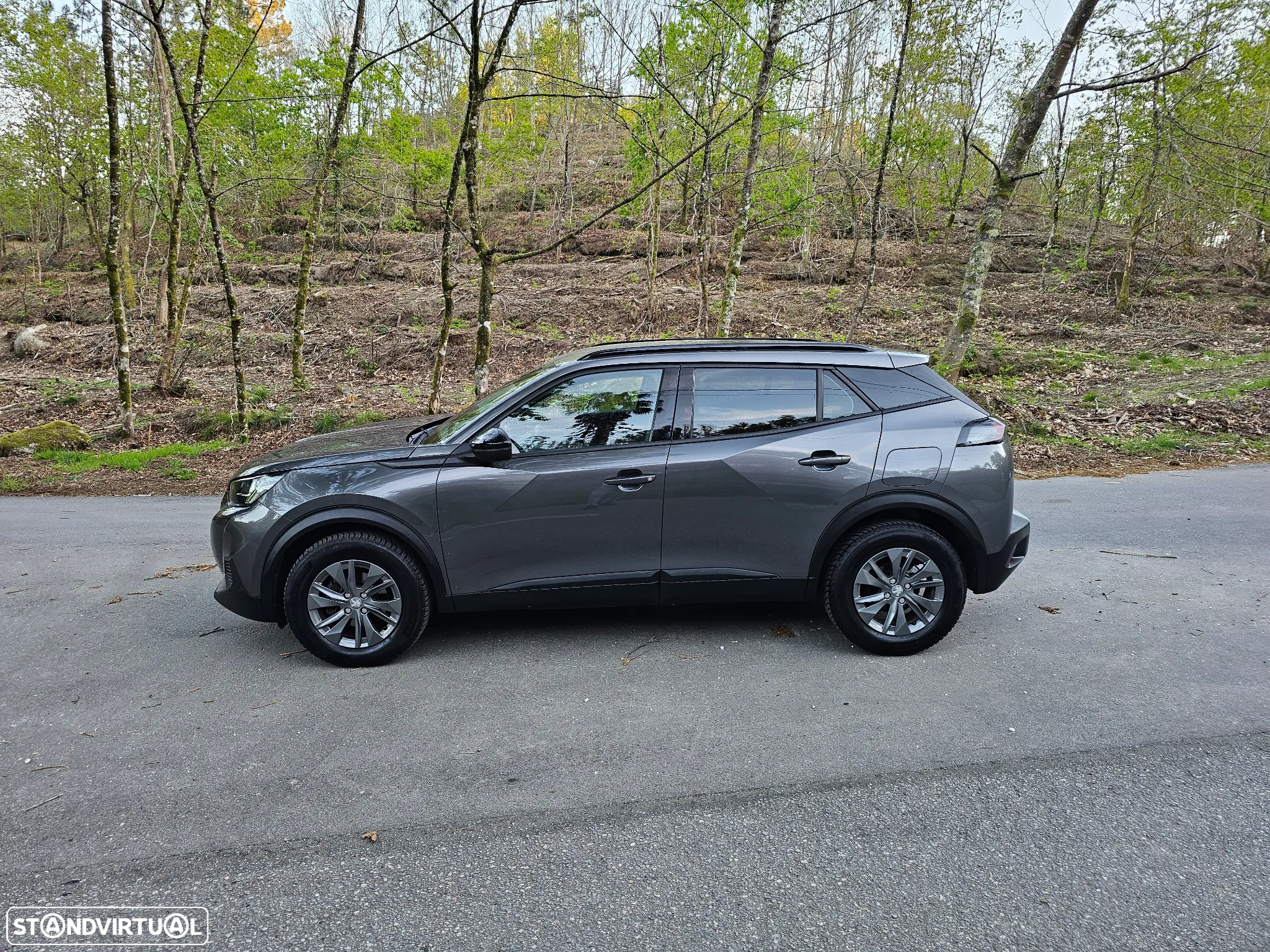 Peugeot 2008 - 5