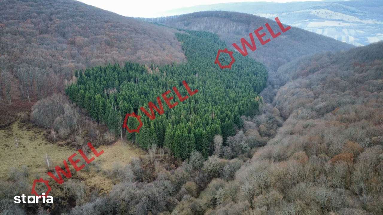 De vânzare teren extravilan în loc.Malnaș - Imagine principală: 5/6