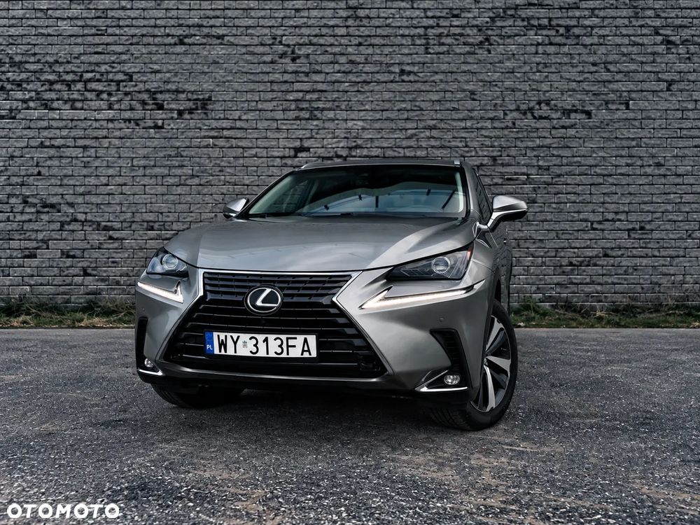 Lexus NX - 6