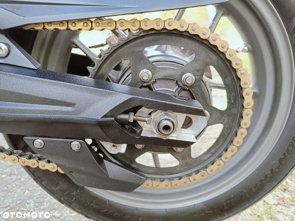 Triumph Tiger - 23