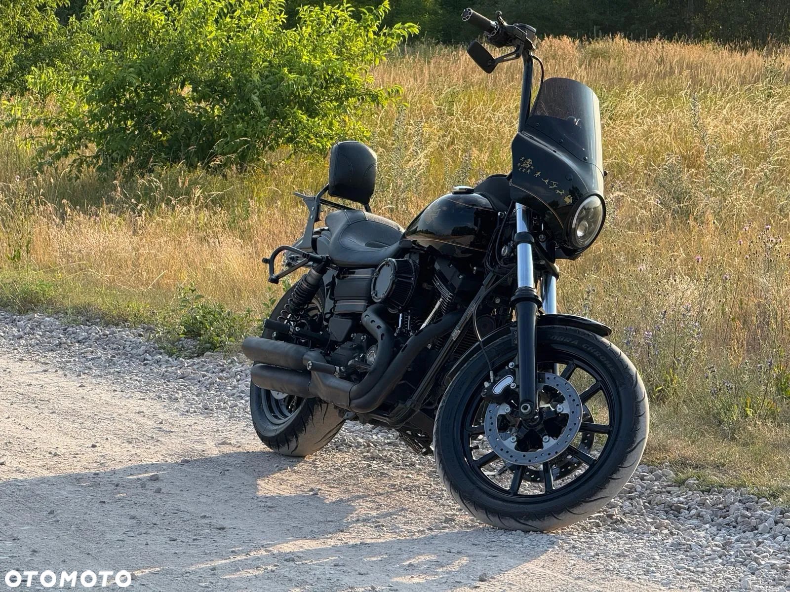 Harley-Davidson Dyna Low Rider - 1