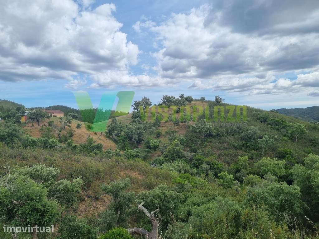 TERRENO MISTO COM RUÍNA PARA VENDA EM S.MARCOS DA SERRA,SILVES - Grande imagem: 4/22