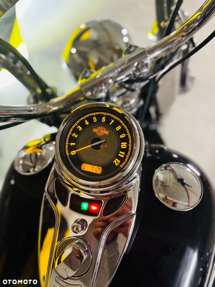 Harley-Davidson Softail Heritage Classic - 3
