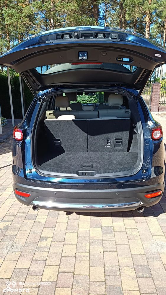 Mazda CX-9 - 20