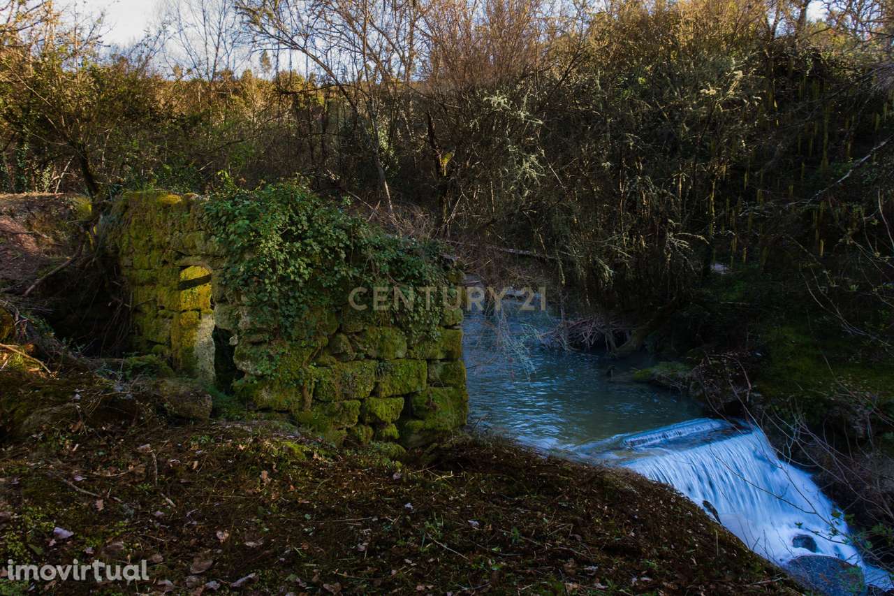 Quinta em  Midões, Tábua, com cerca de 6 hectares junto ao Rio Cavalos - Grande imagem: 5/32