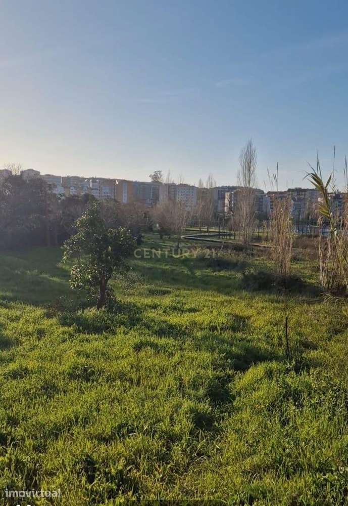 Terreno no Centro de São Romão – Leiria | 4.890 m² - Grande imagem: 5/13