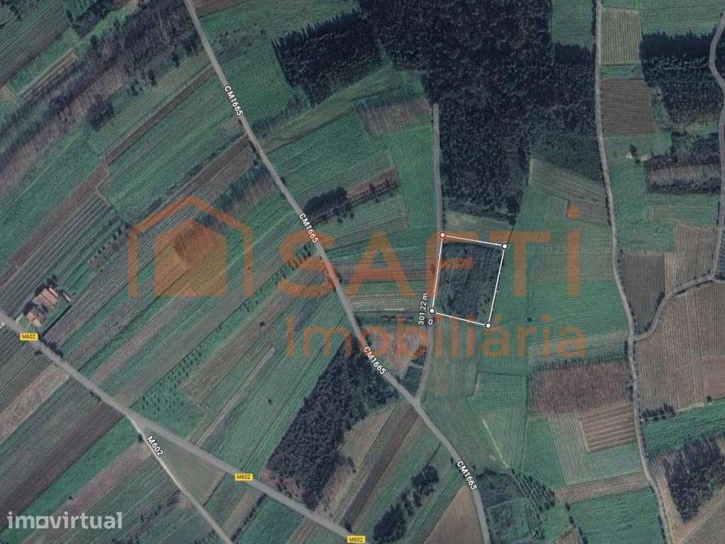 Terreno agrícola com forte potencial vitivinícola e com 5870 m2 em ... - Grande imagem: 2/12