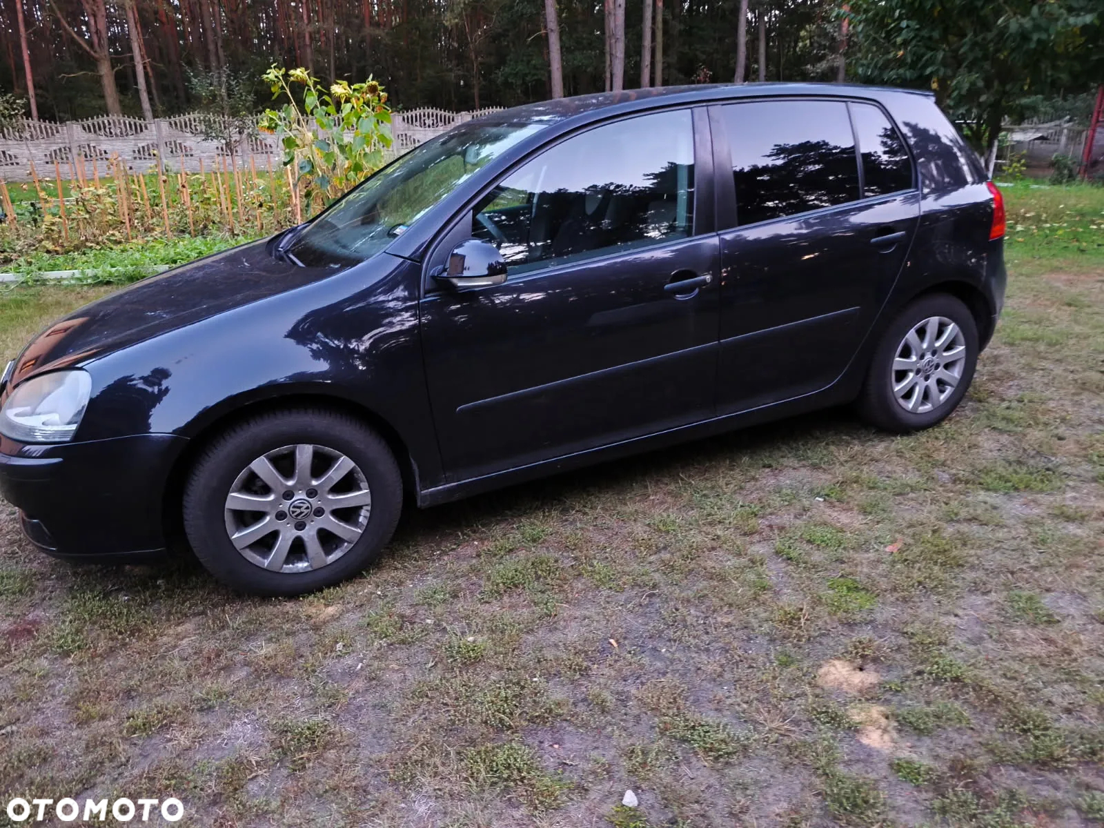 Volkswagen Golf - 4