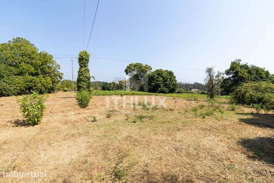 Lote de Terreno para construção - Grande imagem: 3/6