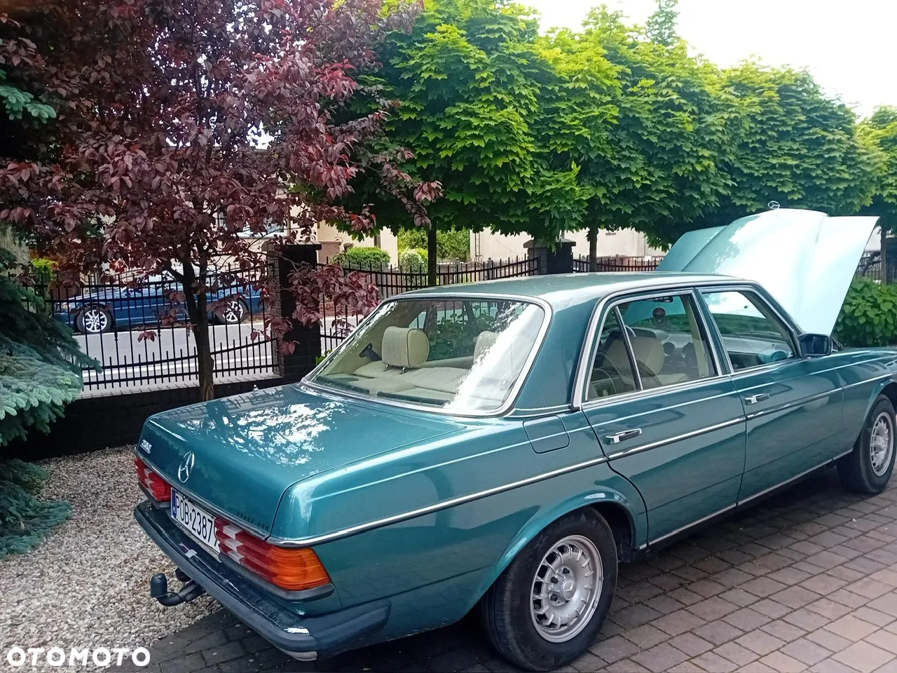 Mercedes-Benz W123 - 5